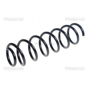 Coil Spring - Rear