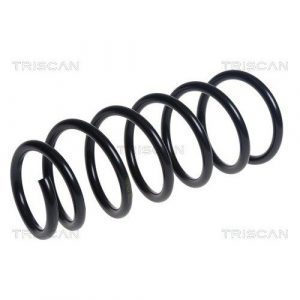 Coil Spring - Rear