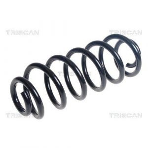 Coil Spring - Rear