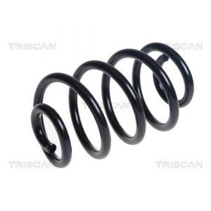 Coil Spring - Rear