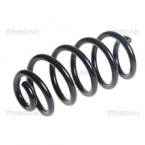 Coil Spring - Rear