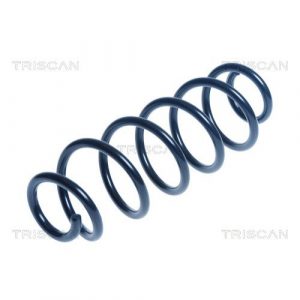 Coil Spring - Rear