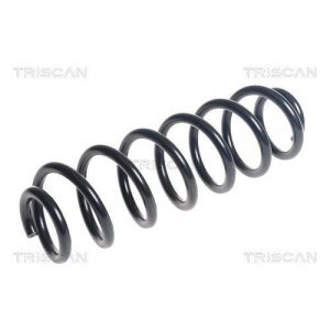 Coil Spring - Rear