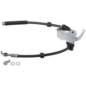 Brake Hose - Front