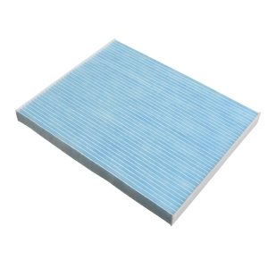 Pollen Filter