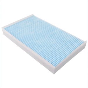 Pollen Filter