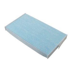 Pollen Filter
