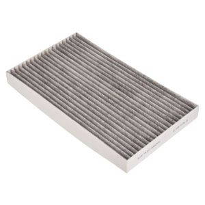 Pollen Filter (Carbon)