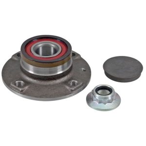 Wheel Hub & Bearing Assembly - Rear