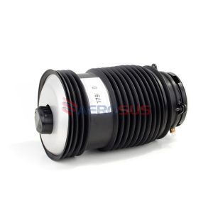 Air Spring - Rear (LH)