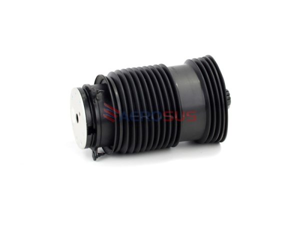 Air Spring - Rear (LH) - Image 4