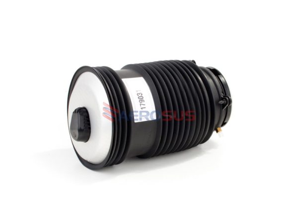Air Spring - Rear (RH)