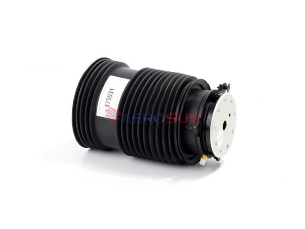 Air Spring - Rear (RH) - Image 3