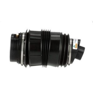 Air Spring - Rear (RH)
