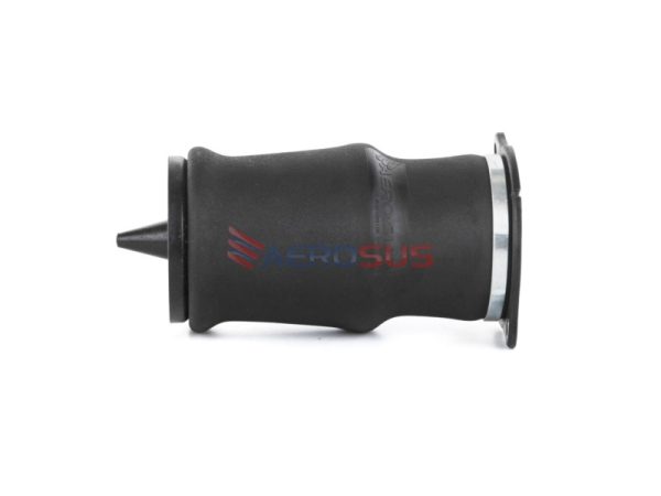 Air Spring - Rear (LH/RH) - Image 4