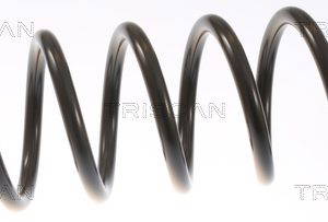 Coil Spring - Front (LH/RH)