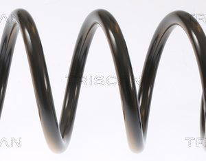 Coil Spring - Rear (LH/RH)