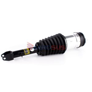 Air Strut - Front (LH/RH)