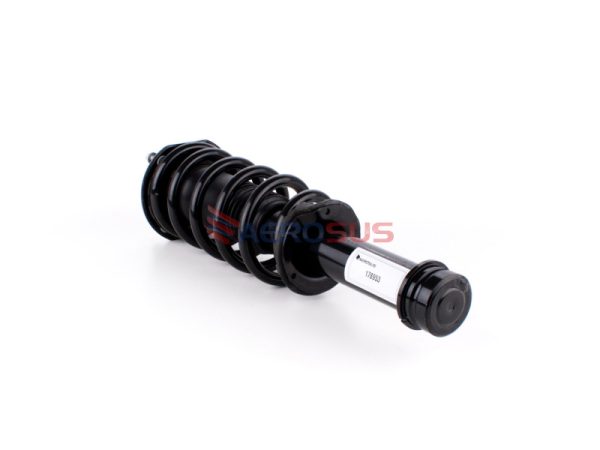 Coil Spring Strut - Front (LH/RH) - Image 3