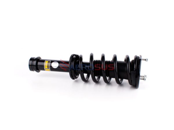 Coil Spring Strut - Front (LH/RH) - Image 4